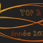 Top 3-Année 2021