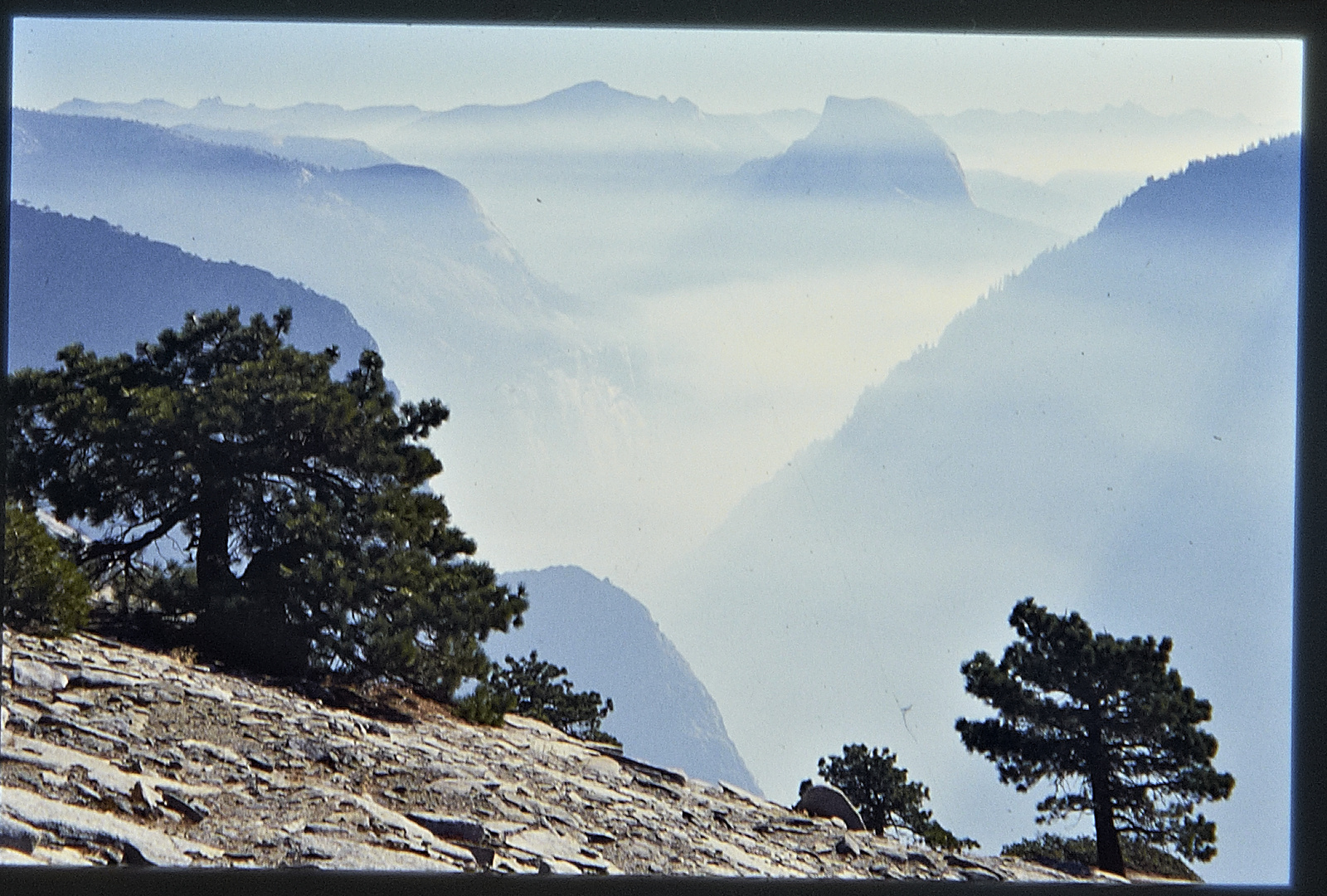 Top of El Cap