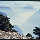 Top of El Cap