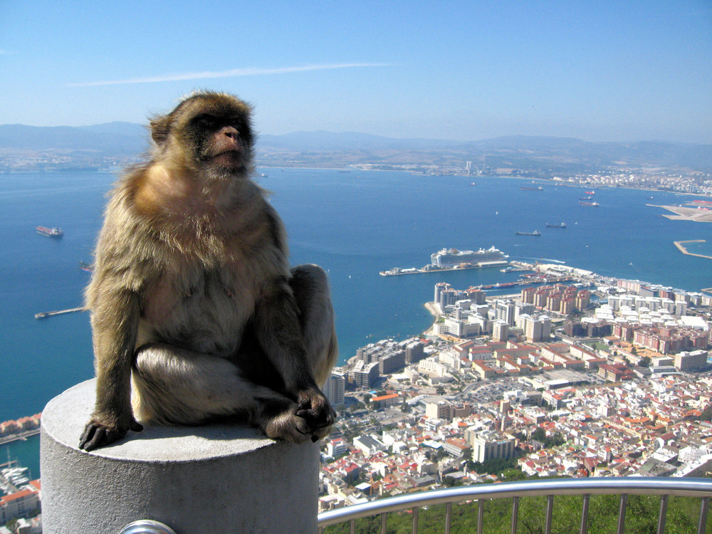 Top of Gibraltar