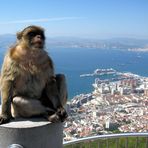 Top of Gibraltar