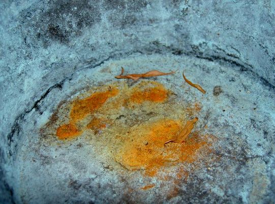 Topf mit schönen Farben