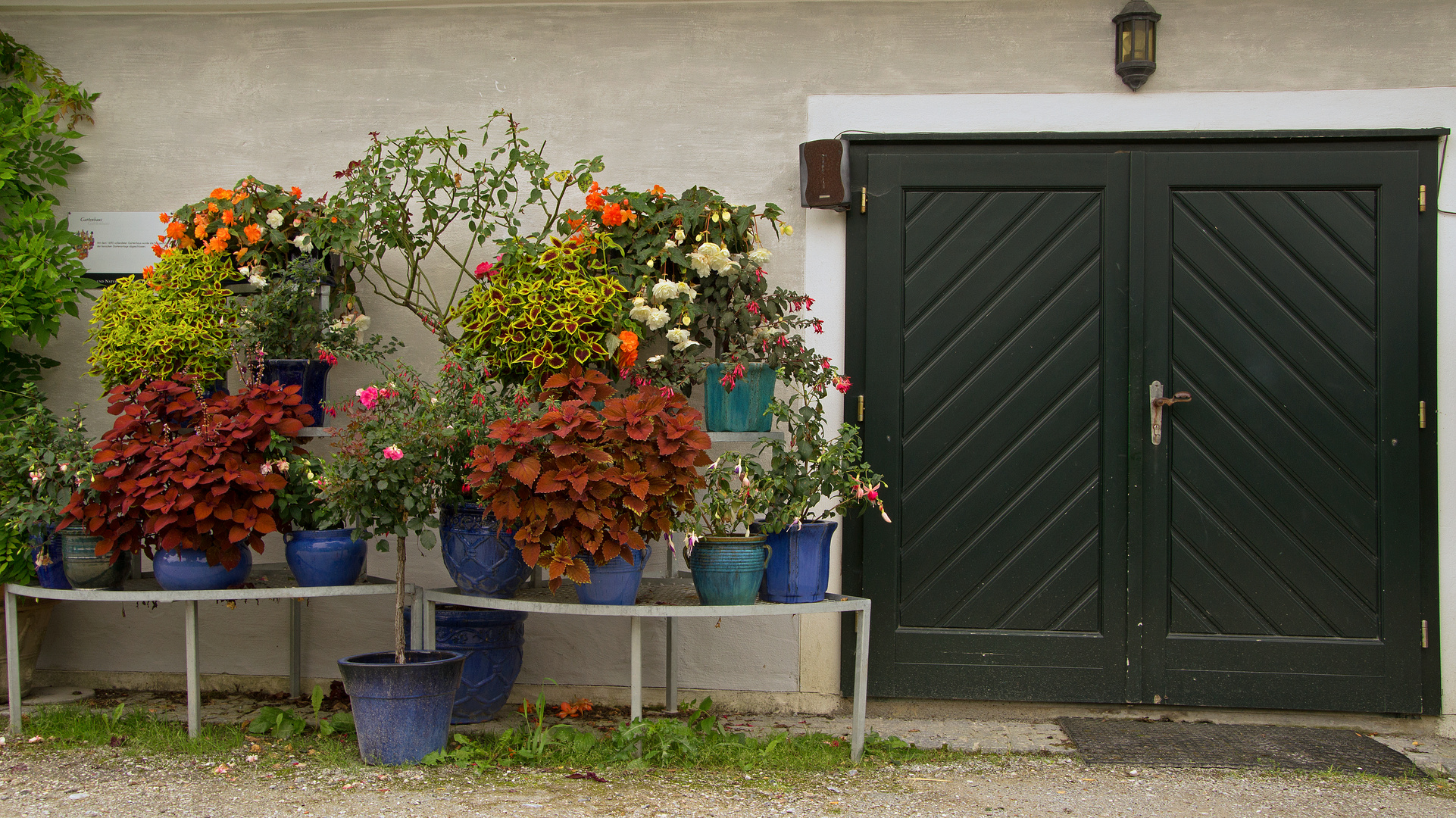 Topfblumen vor Tor