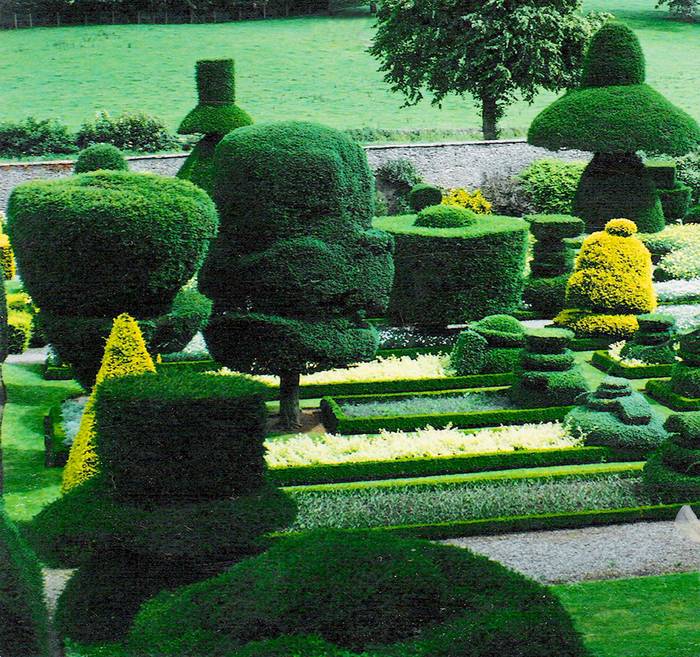 Topiary