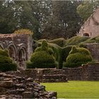 Topiary at Wenlock Priory