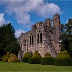 Topiary at Wenlock Priory