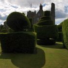 Topiary in Earls Hall Castle