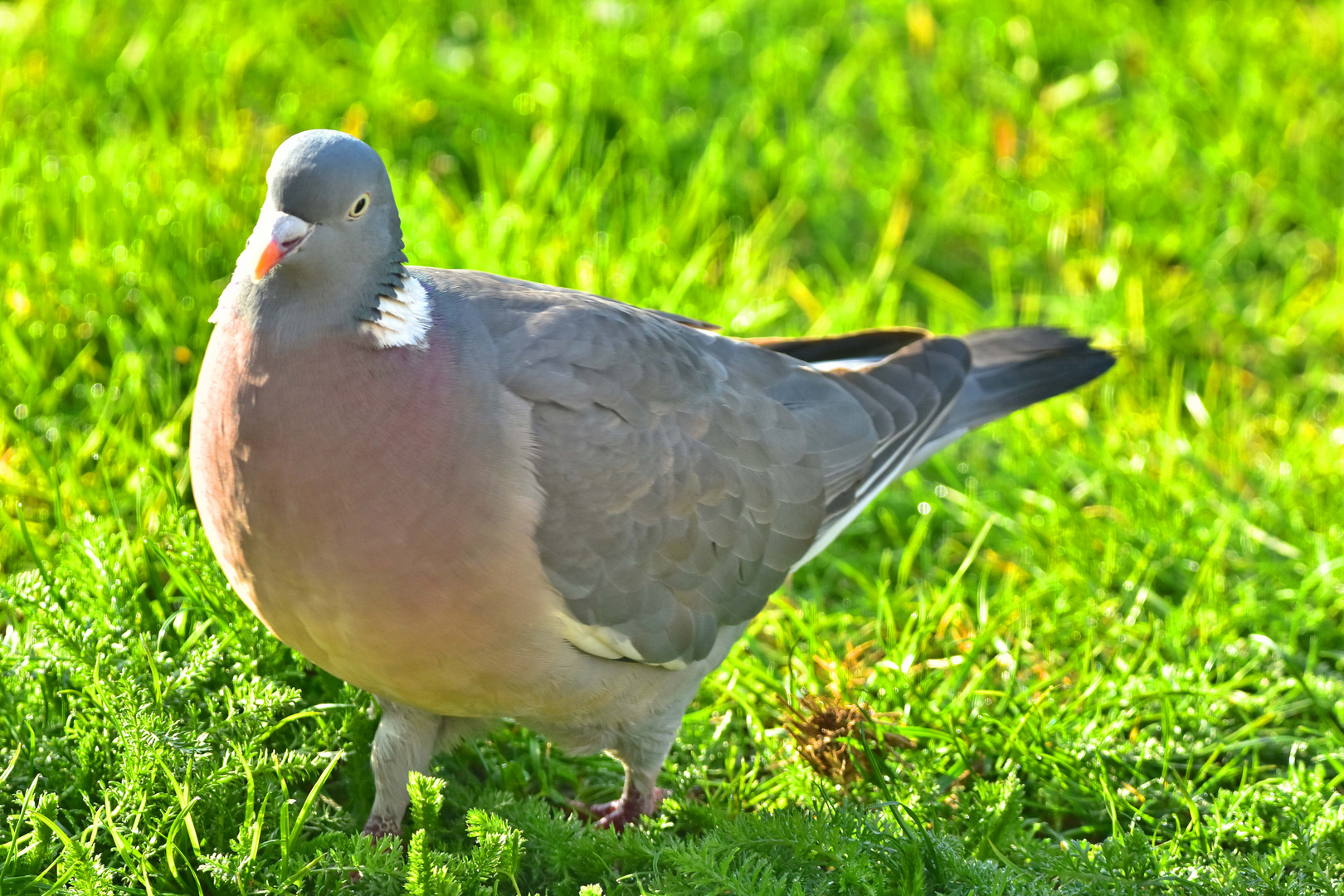 Topmodel im Gegenlicht.