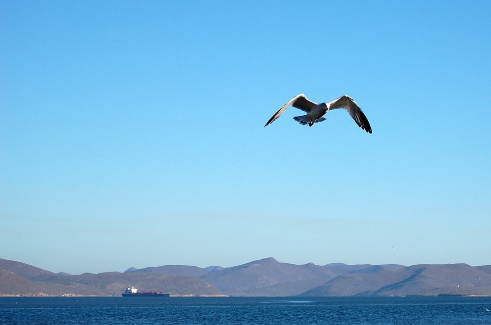 Topolobampo