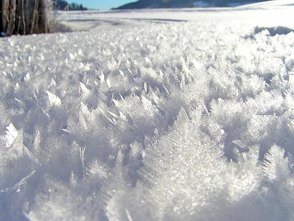 Toppschneekristalle auf einem Riesenfeld