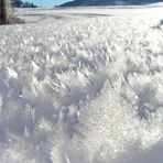 Toppschneekristalle auf einem Riesenfeld