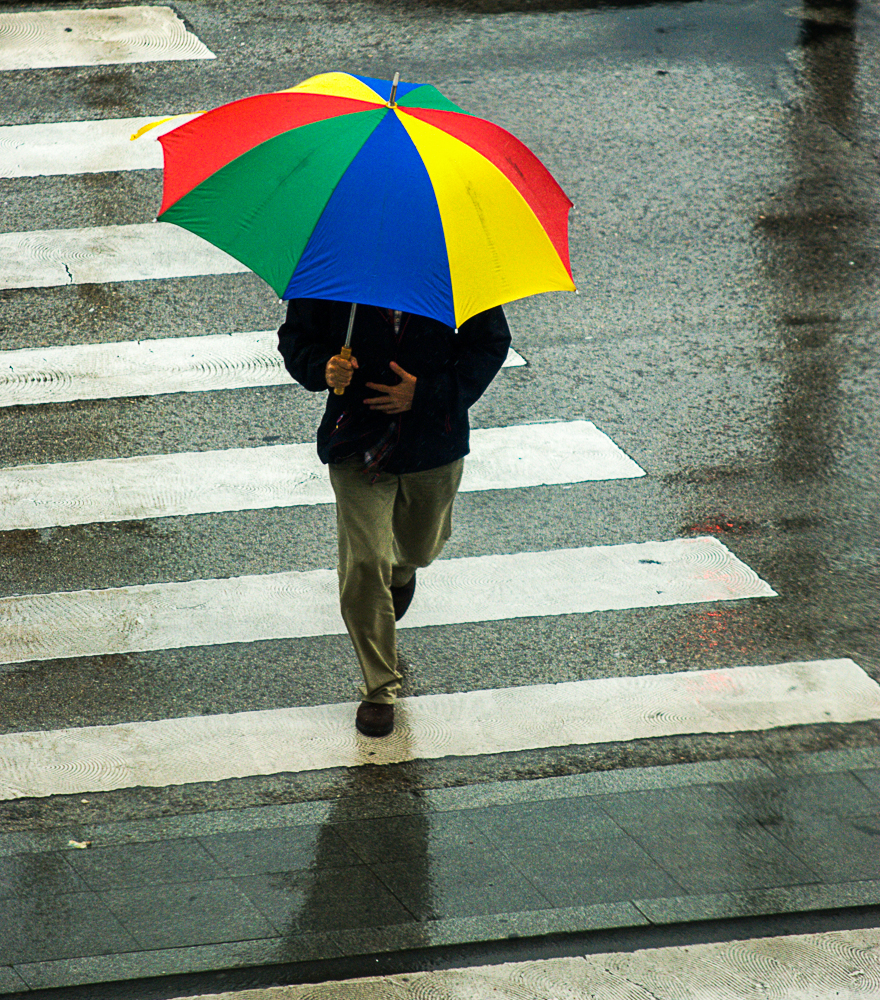 Toque de color en un día gris.