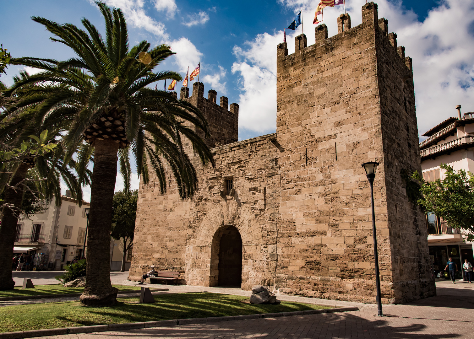 Tor Alcudia