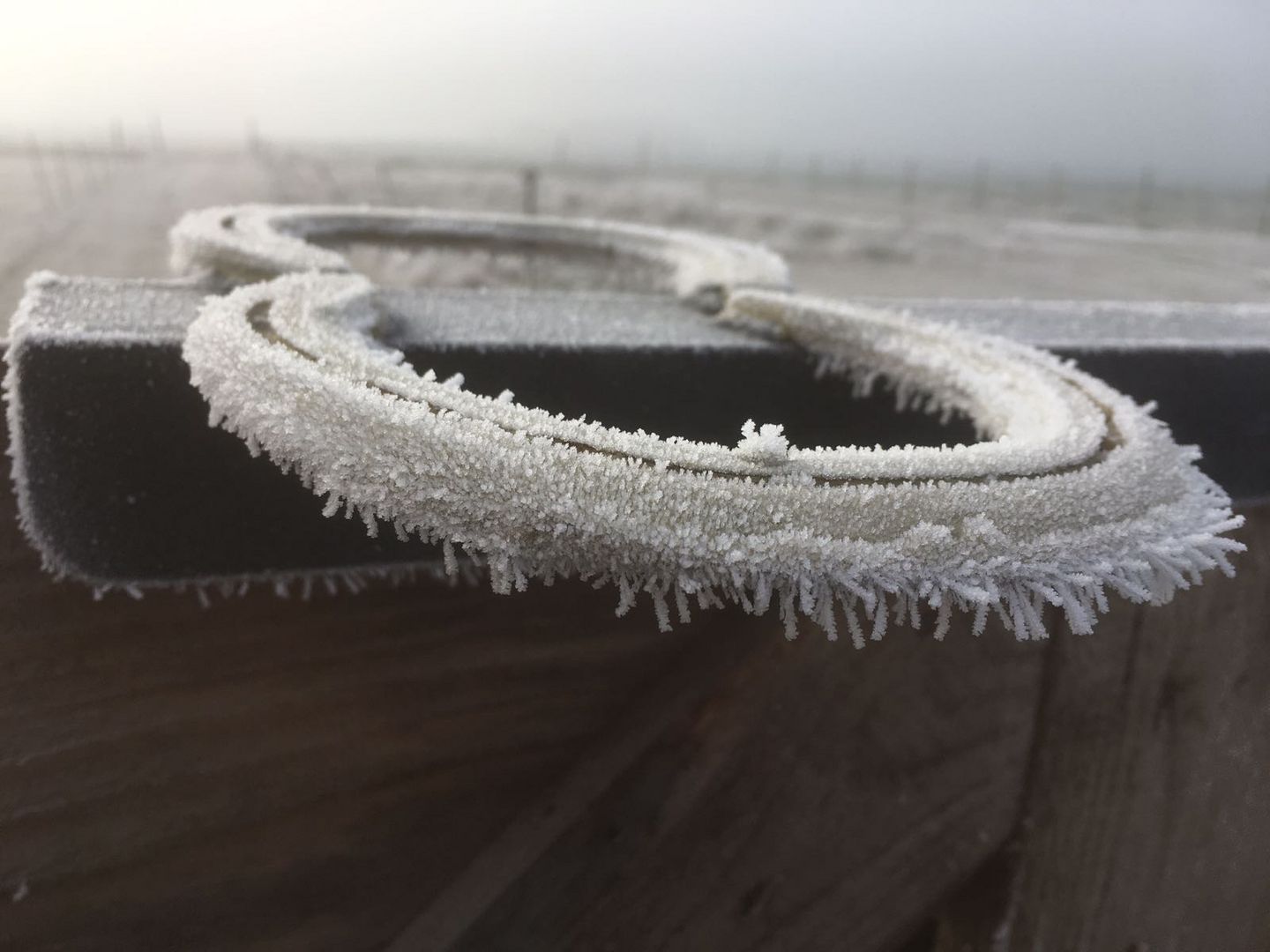 Tor-Griff Hufeisen eiskalt