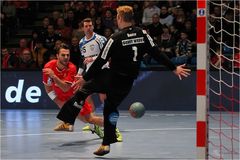 … Tor - Handball-Bundesliga 2014