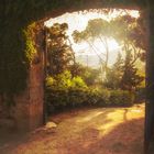 Tor im Park Güell