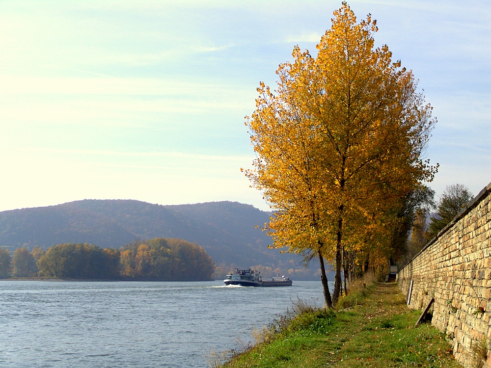 . . „Tor . . in die Wachau“. .