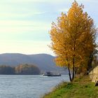 . . „Tor . . in die Wachau“. .