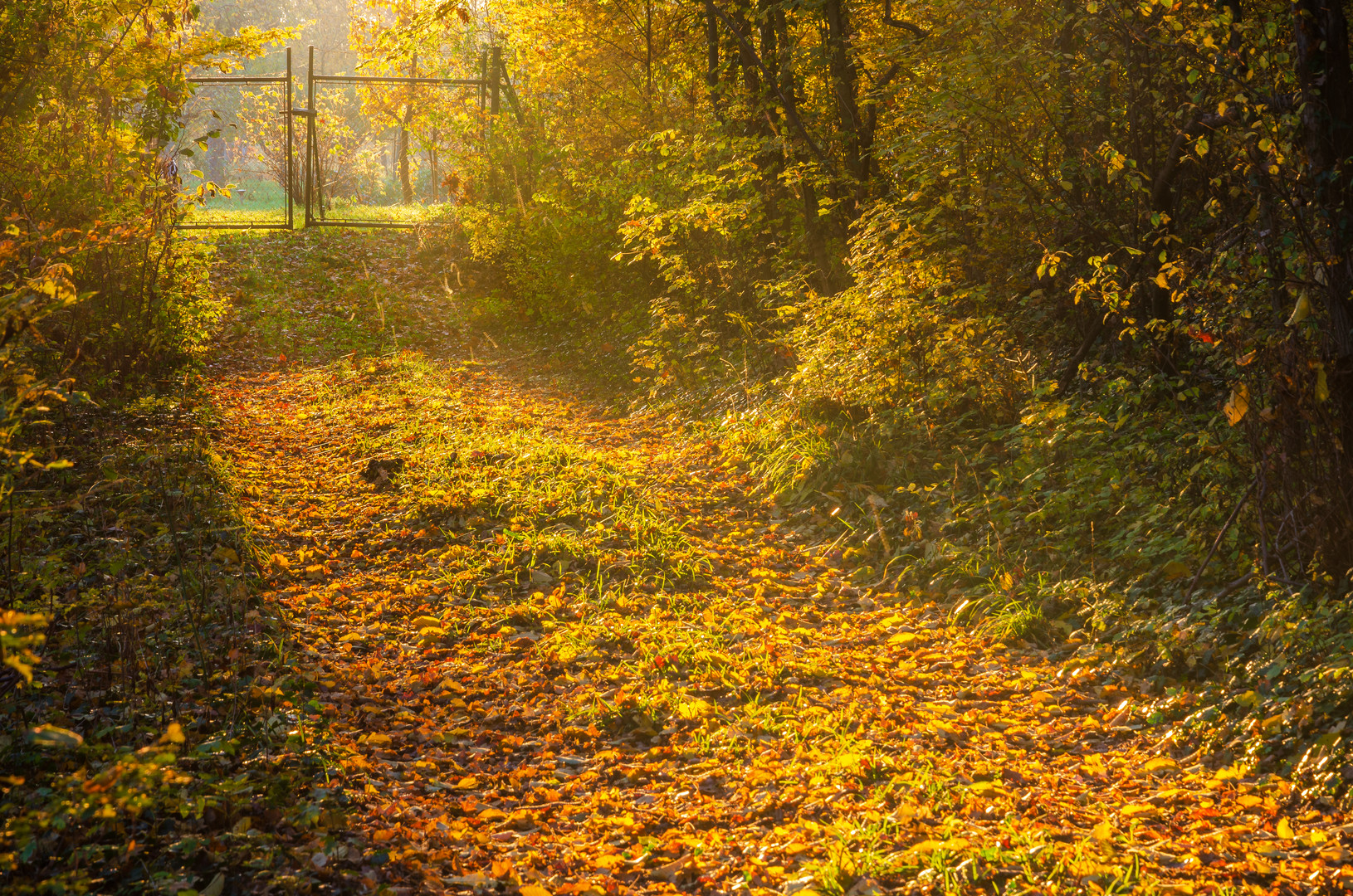 Tor in's goldenen Licht