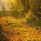 Tor in's goldenen Licht