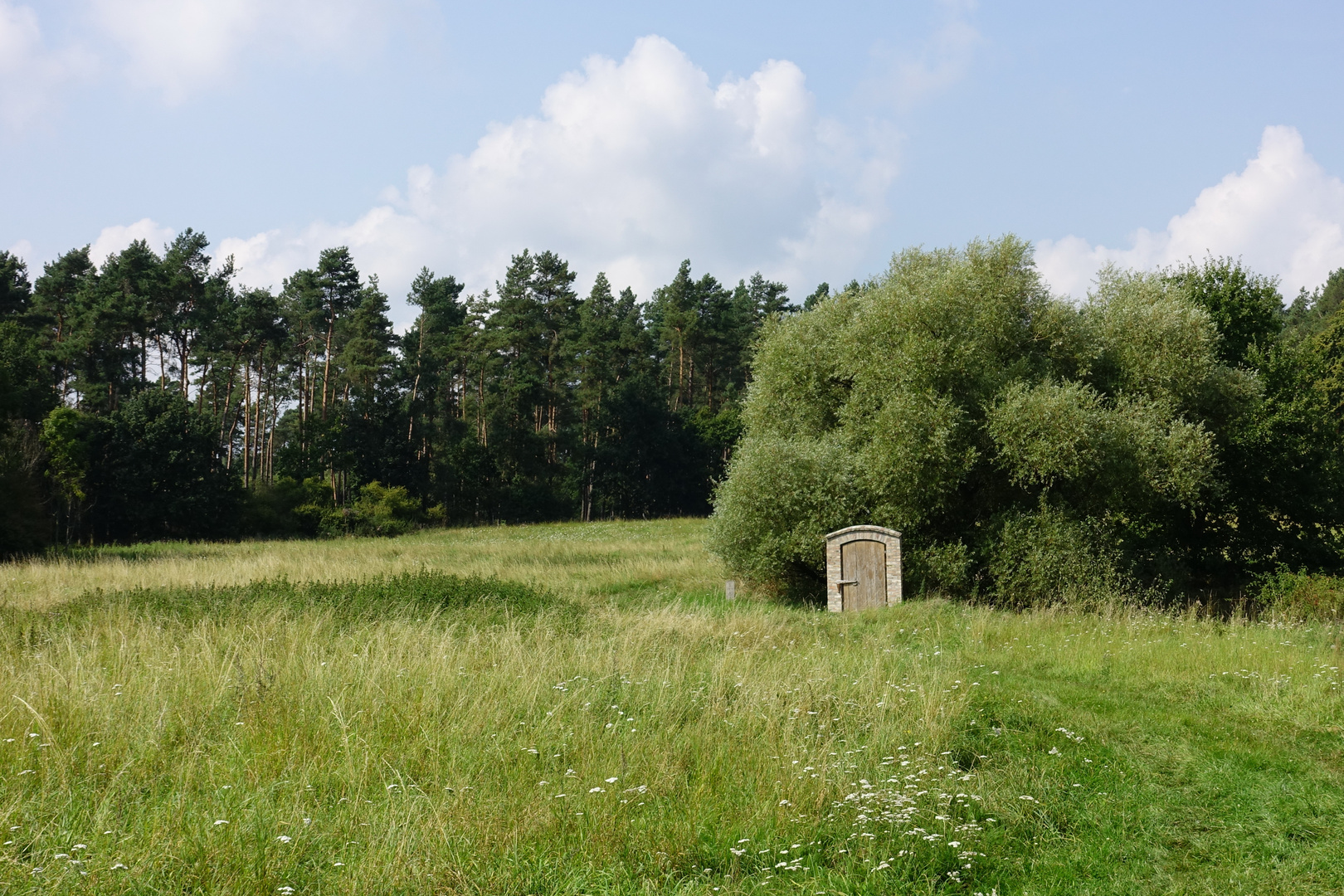 Tor ins Grüne