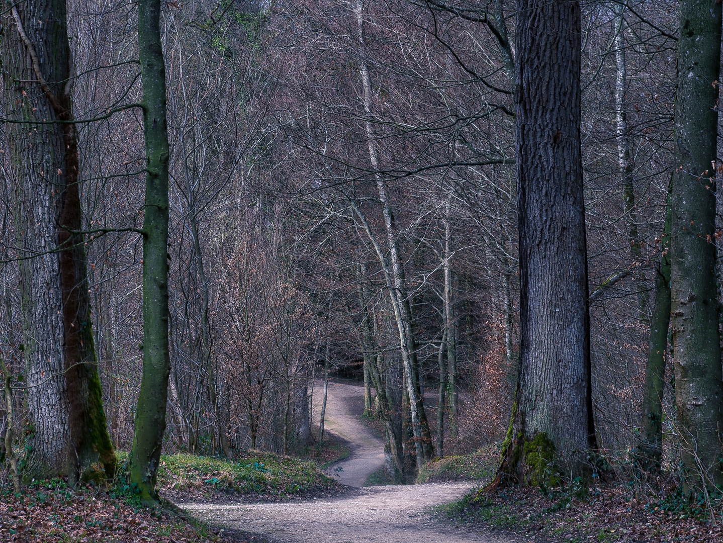 Tor nach Düsterwald