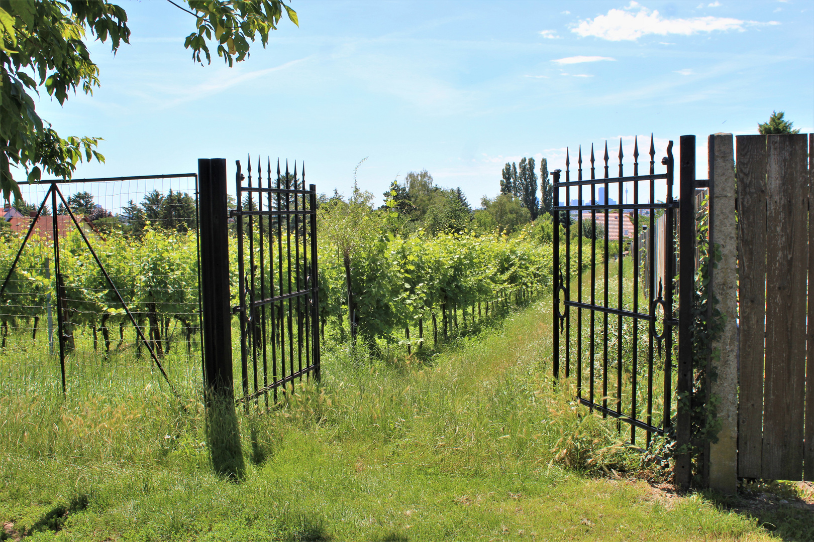 Tor vom Friedhof zum Weinberg