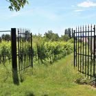 Tor vom Friedhof zum Weinberg