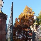 Tor zum Friedhof im Herbst