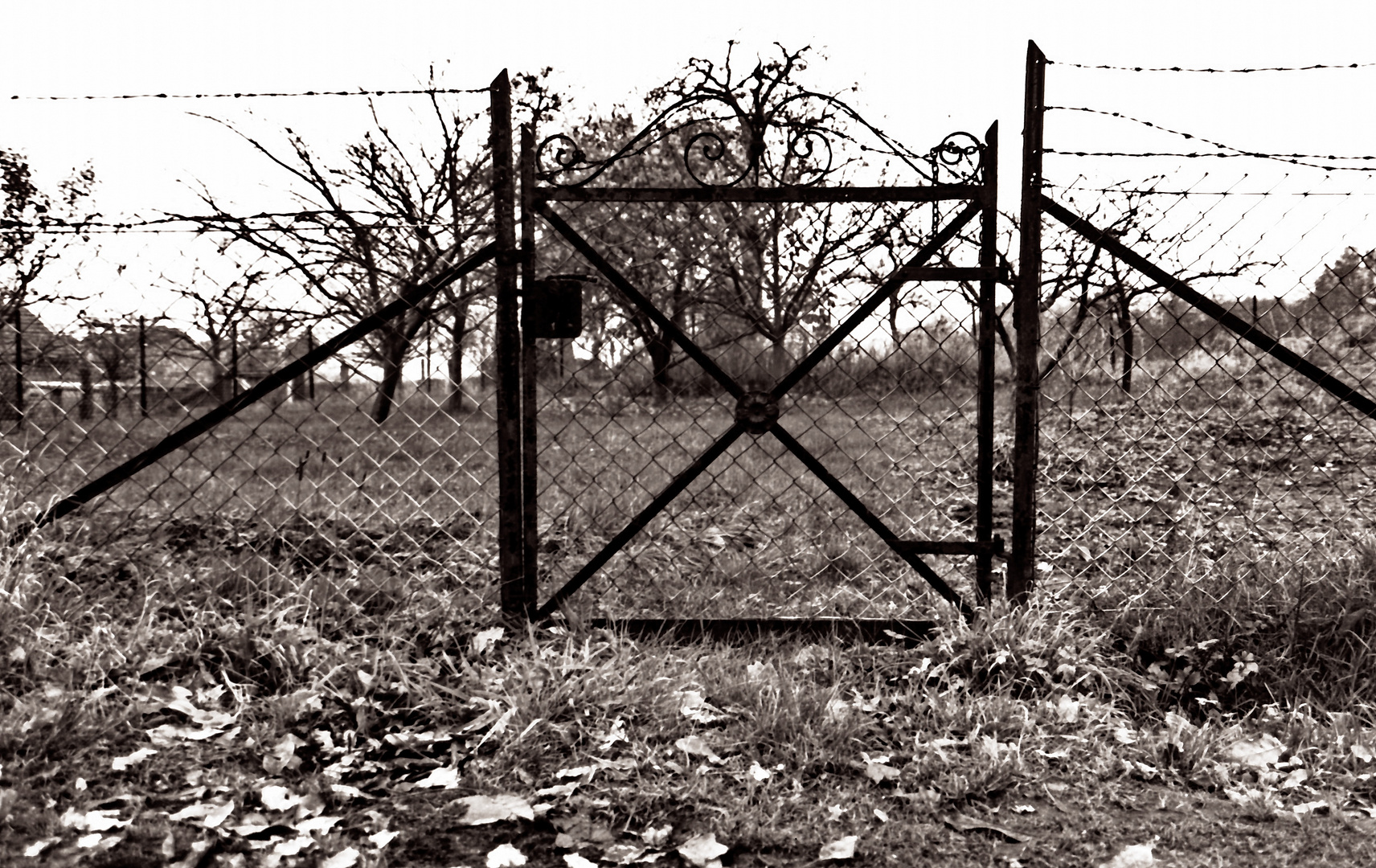 tor zum garten meiner kindheit