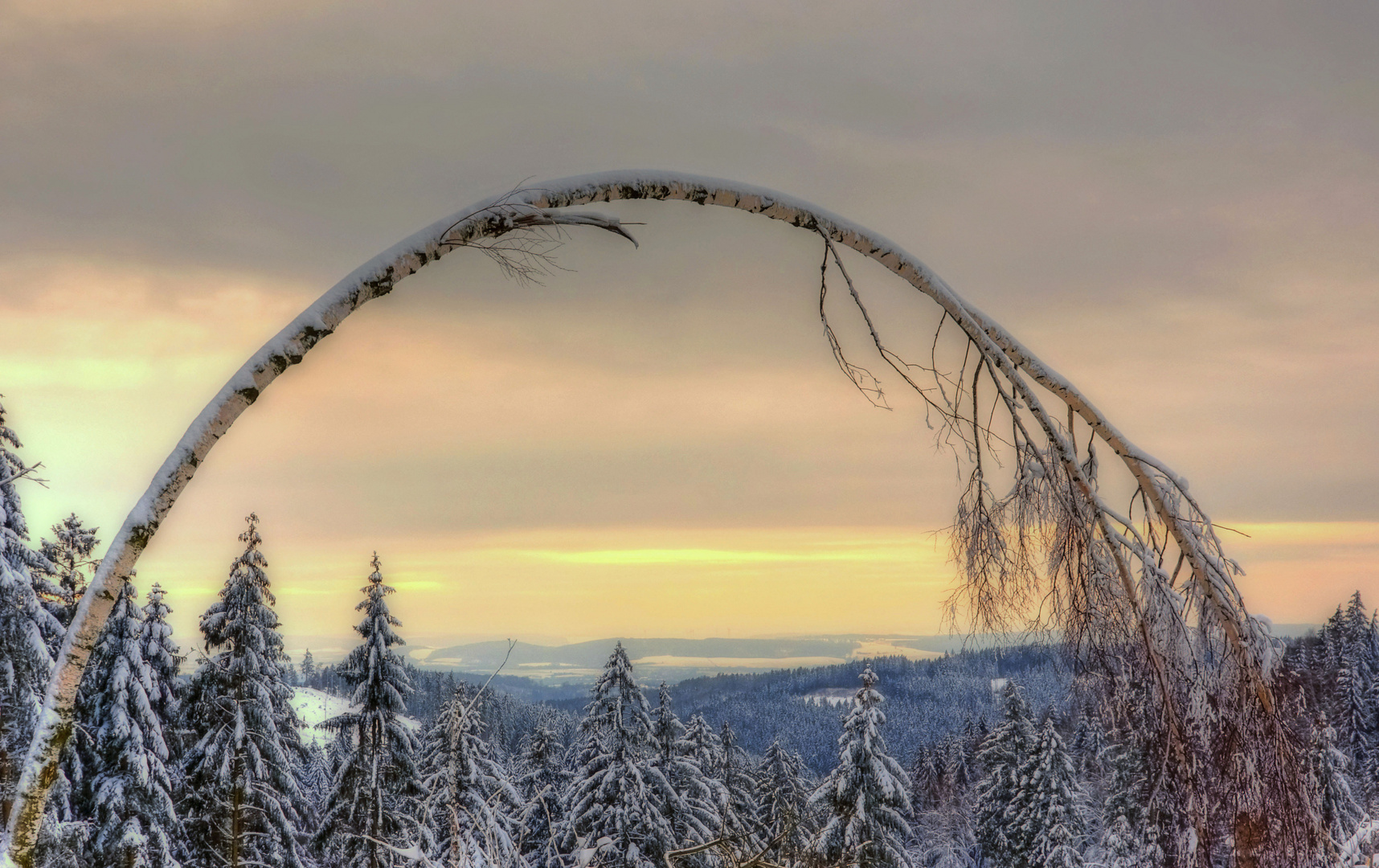 Tor zum Harz