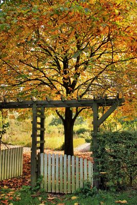 Tor zum Herbst