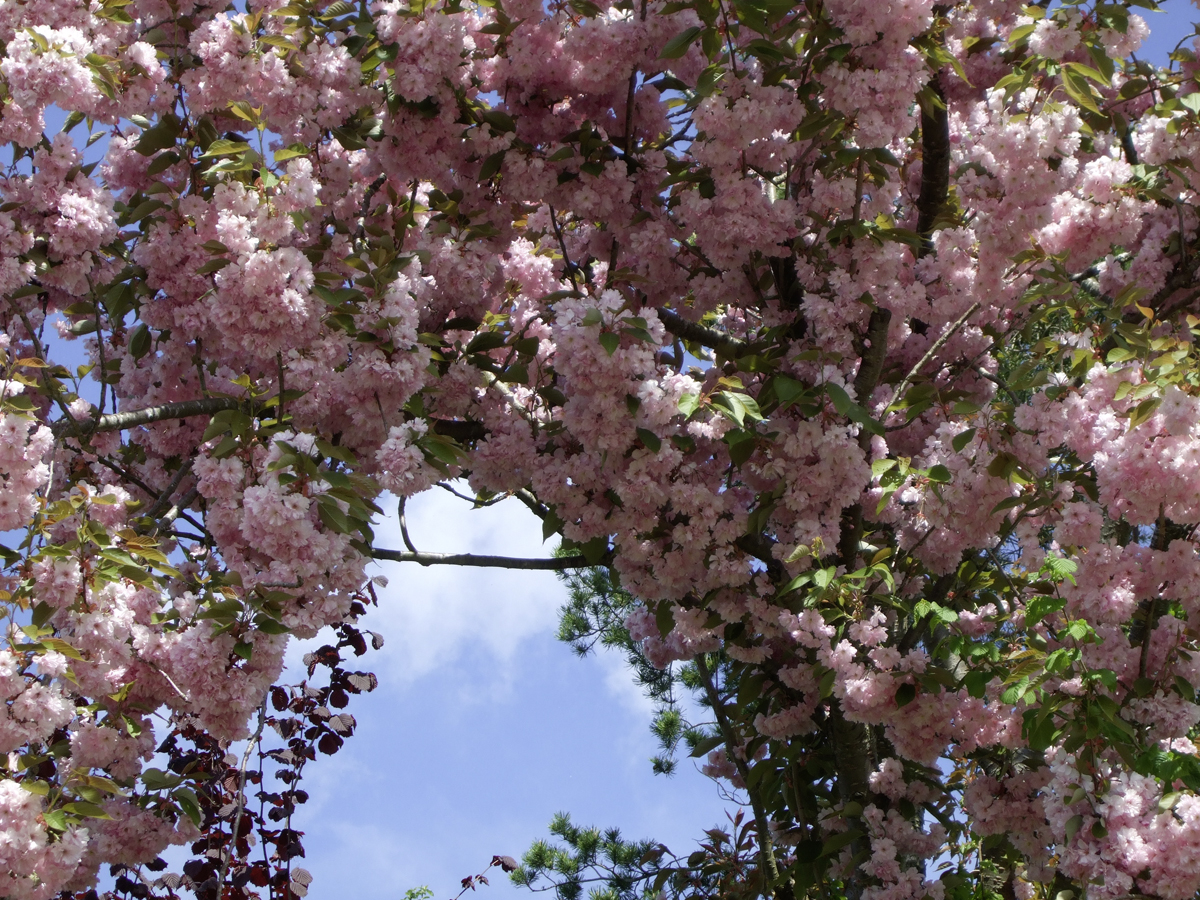 Tor zum Himmel