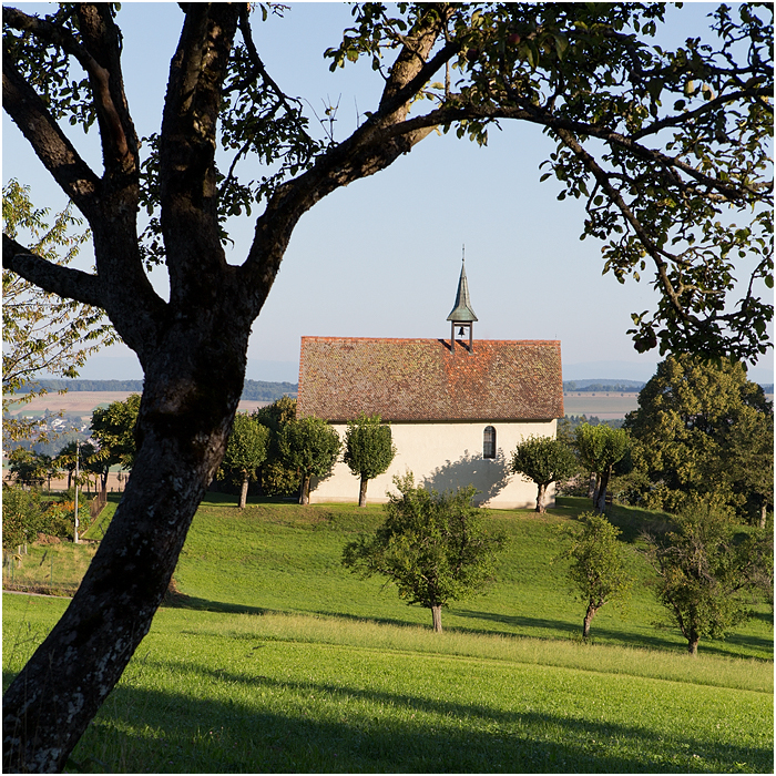 Tor zum Sonntag