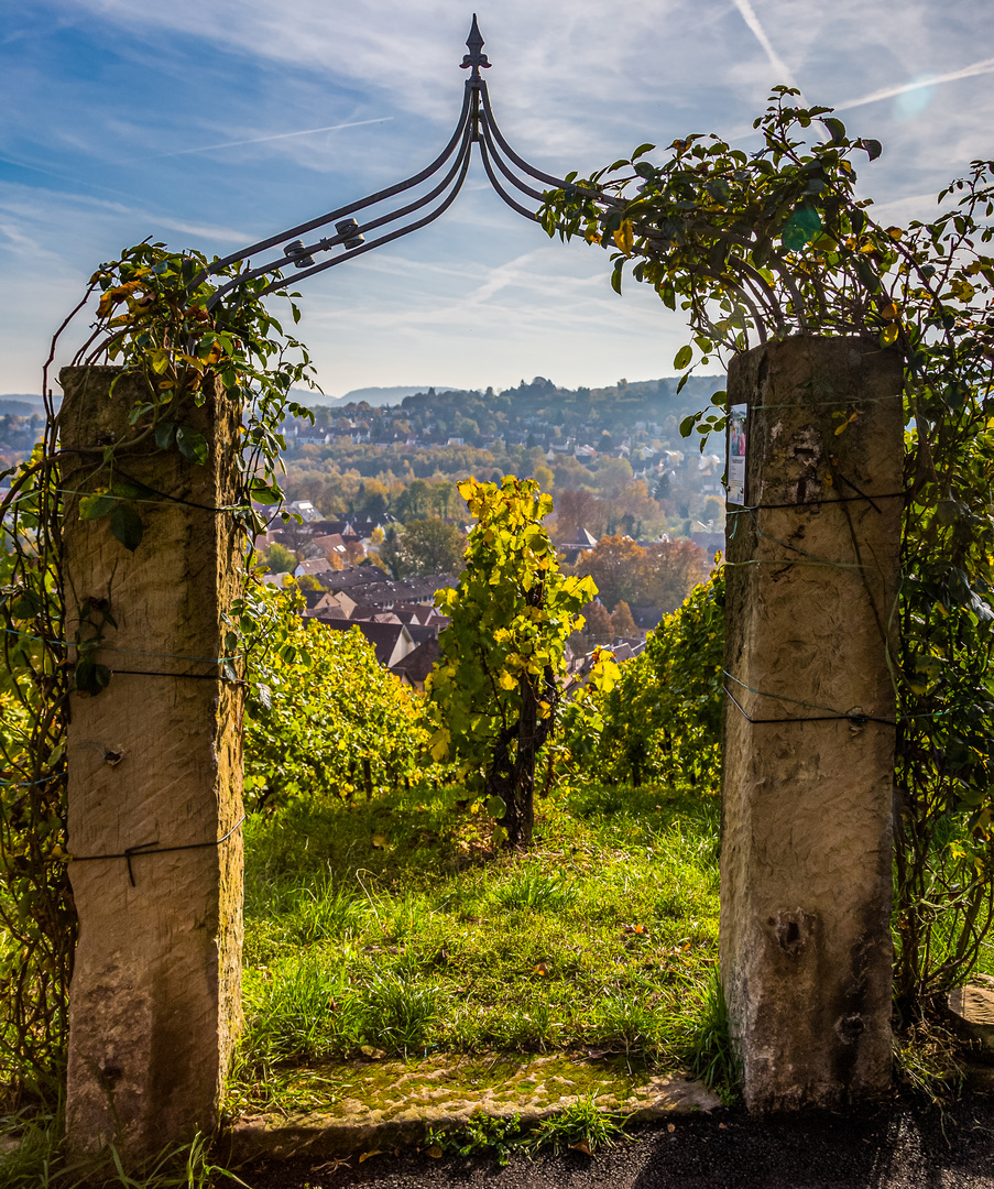 Tor zum Weinberg