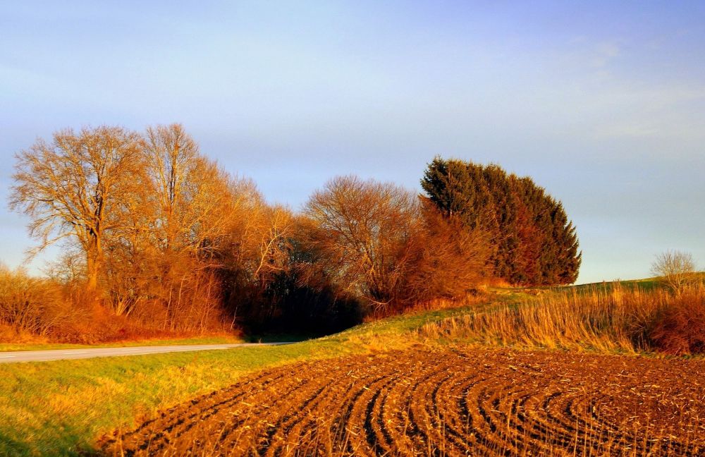 Tor zur Finsternis