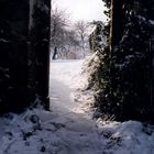 Tor zur Winterwelt