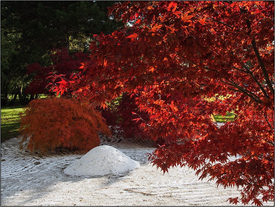 Tora-San-Park