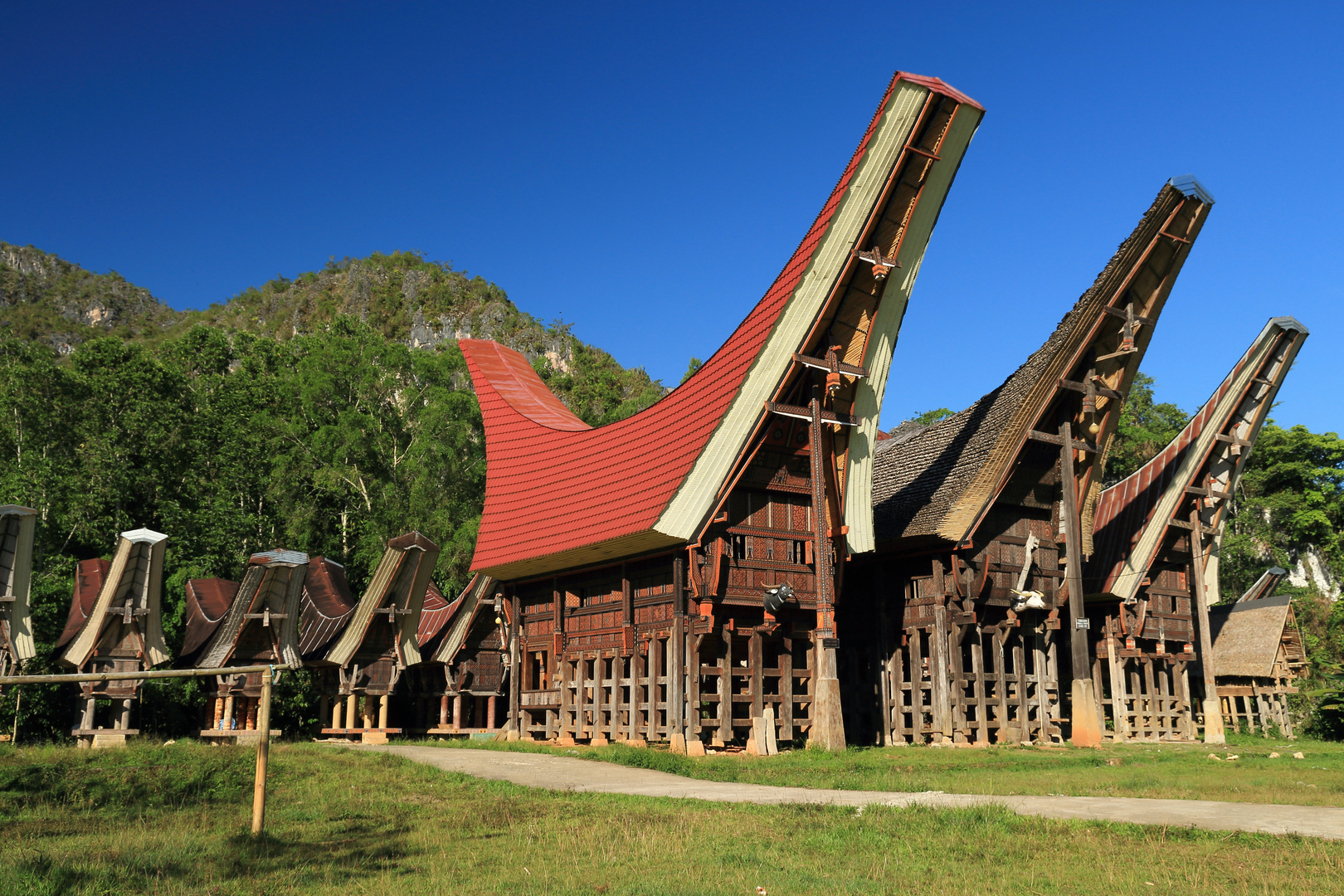 Toraja-Land - Sulawesi