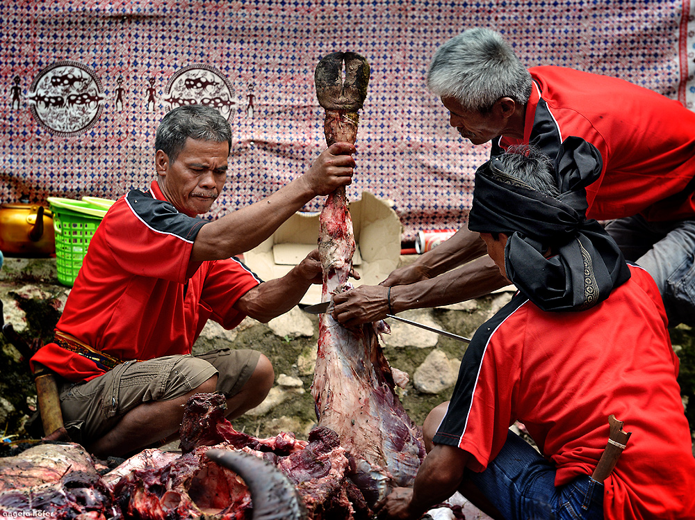 Toraja Zeremonie