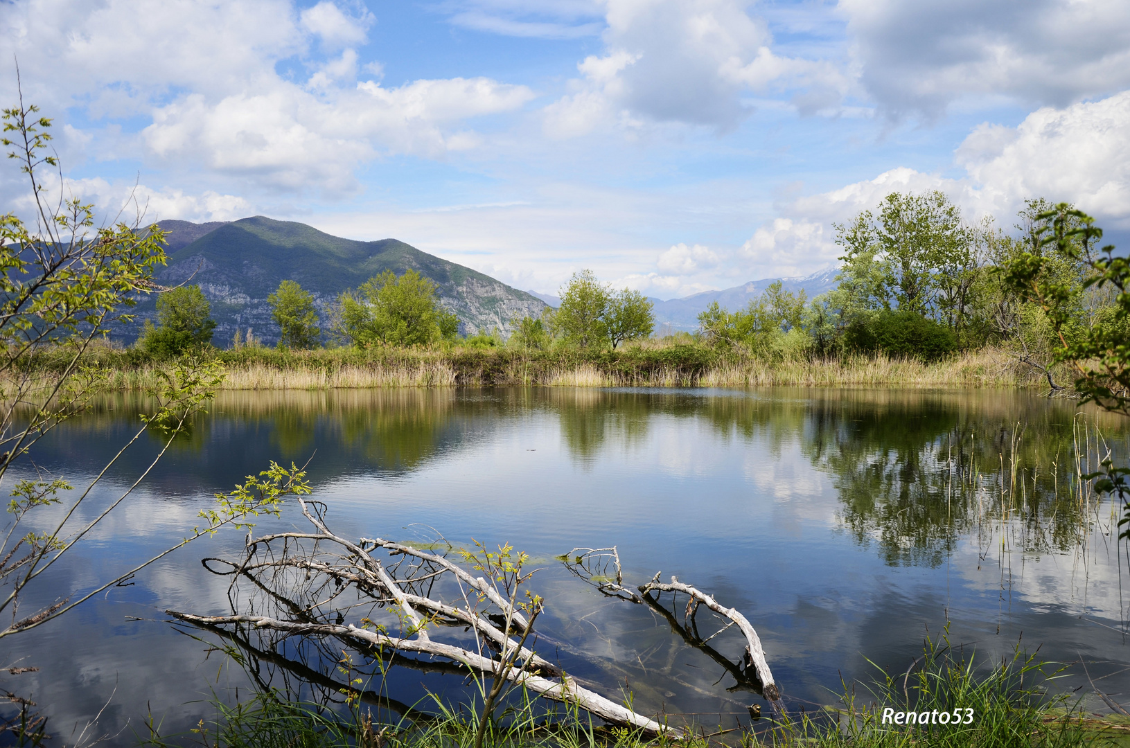 Torbiere del Lago d'Iseo