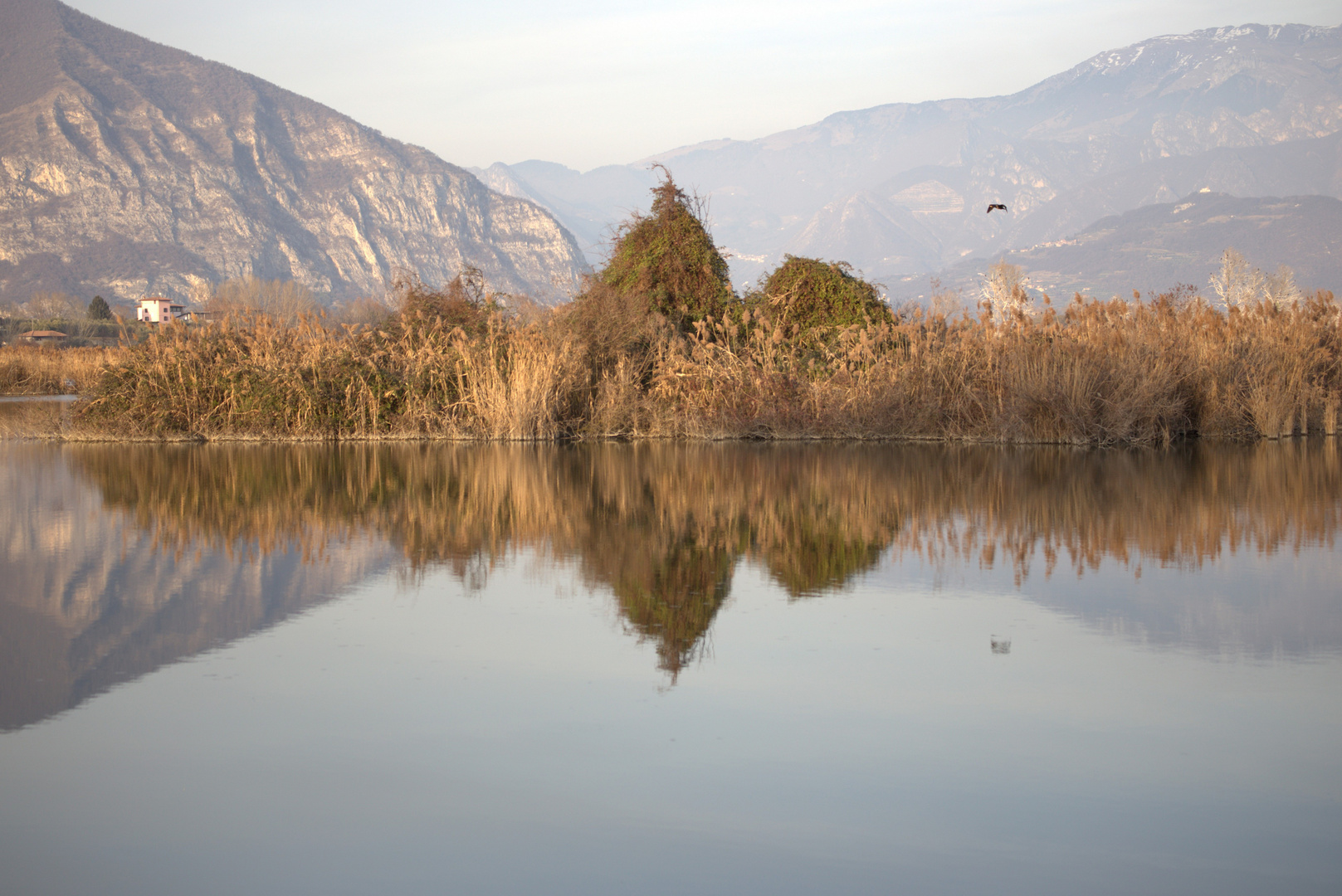 Torbiere del Sebino