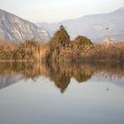 Torbiere del Sebino