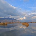 Torbiere Iseo