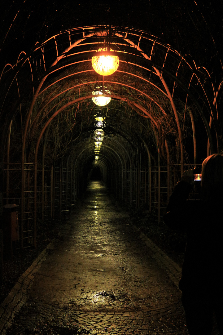 Torbögen in die Nacht