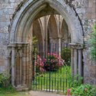 Torbogen: Abbaye de Beauport bei Paimpol, Küste Nordbretagne