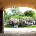 Torbogen am Schloß von Belvedere in Weimar