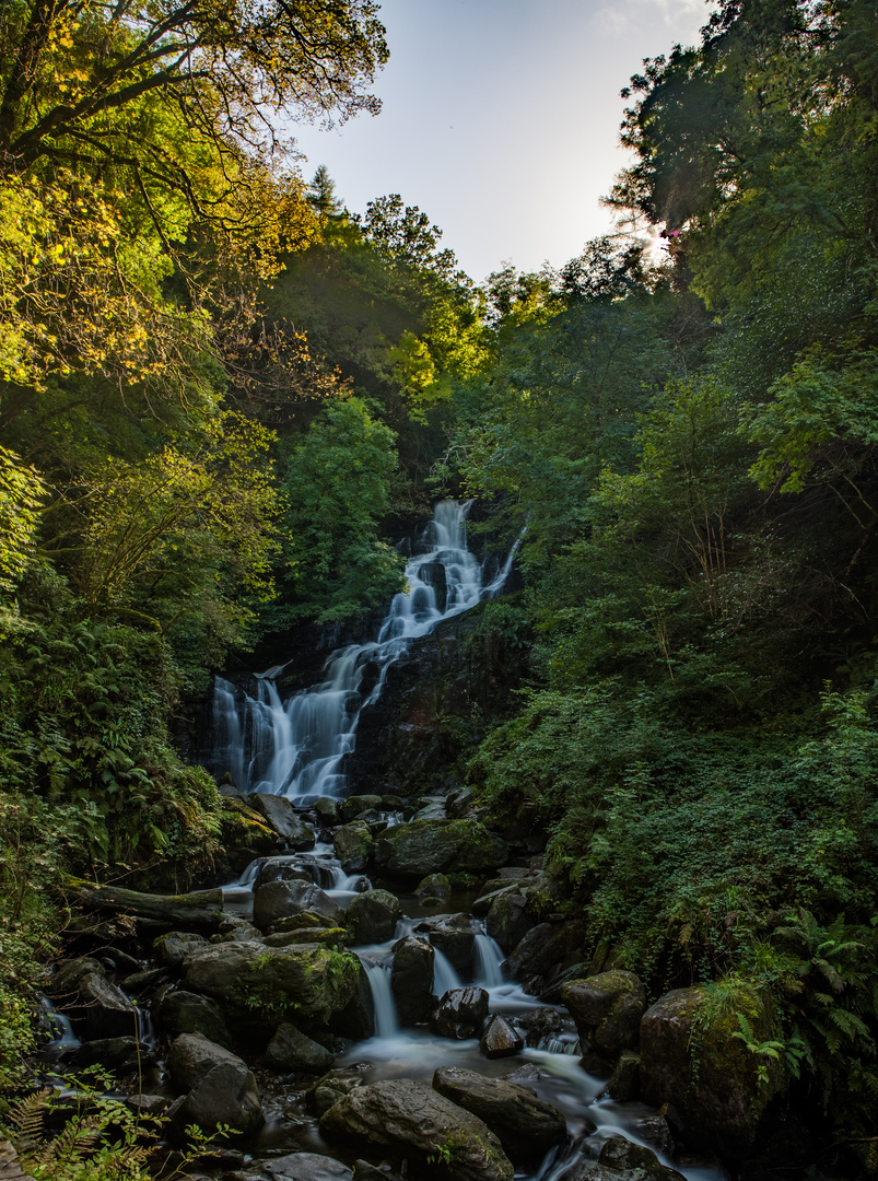 Torc Fall