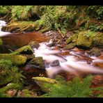 Torc Wasserfall