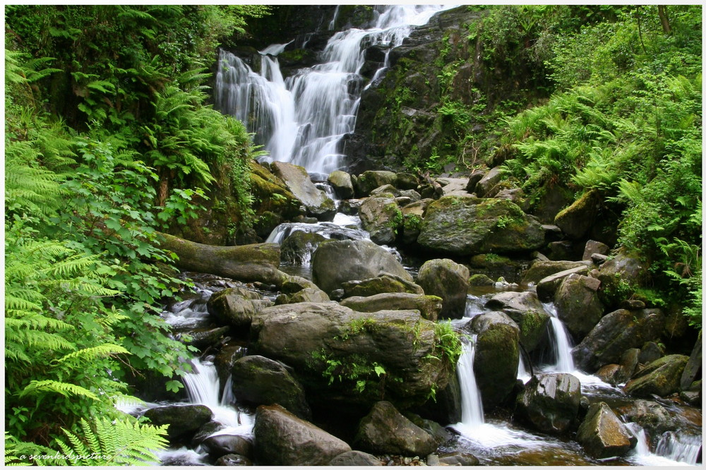 Torc Wasserfall in Killarney (Irland)